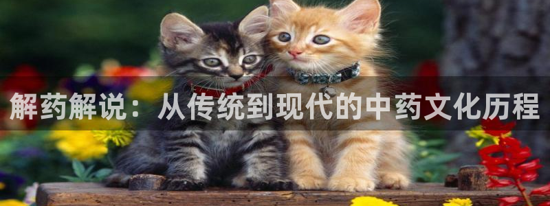 奇优影视电视剧大全