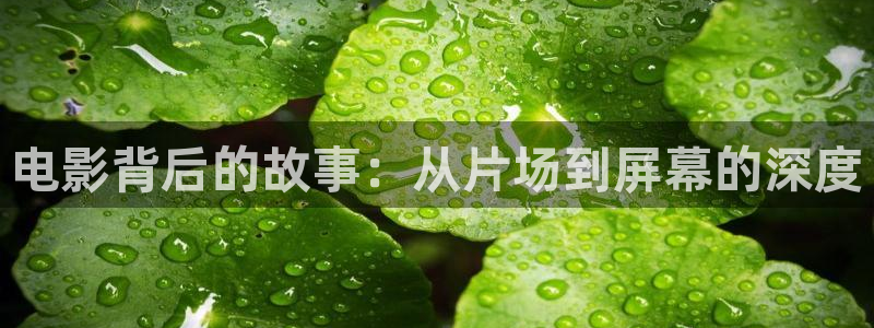 奇优影视手机版免费