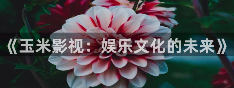 奇优影院免费观看电视剧电视剧大全