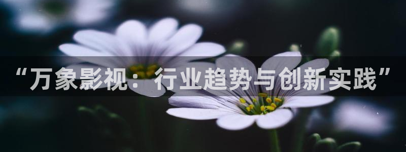 奇优影院手机版高清电视免费