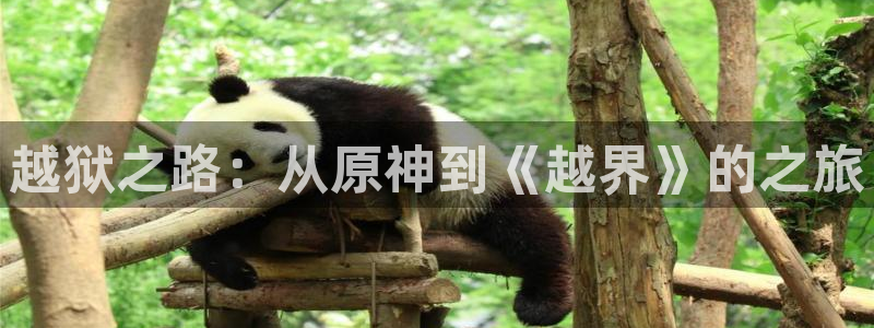 奇优影院在线观看电影电视剧