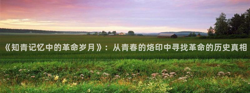 奇优影剧