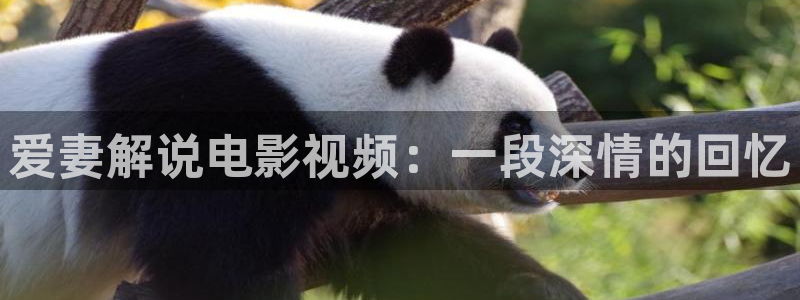 奇优影院黄金瞳