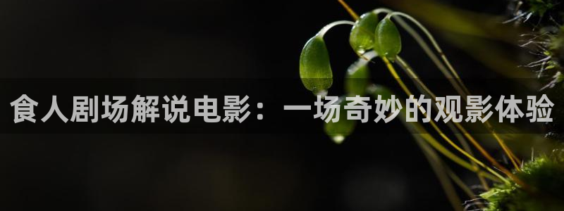 奇优影视理论