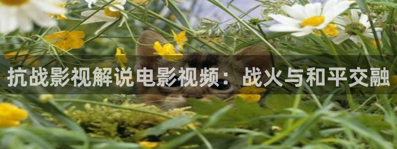 韩国电影奇优影院手机版