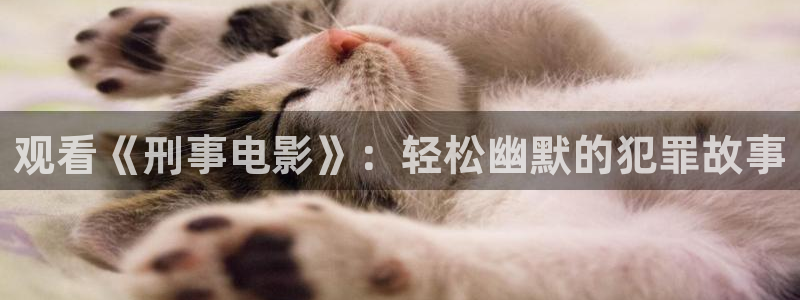 奇优影院手机版最新版本