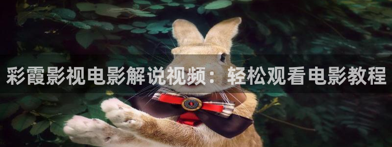 奇优影院手机电视剧免费在线观看