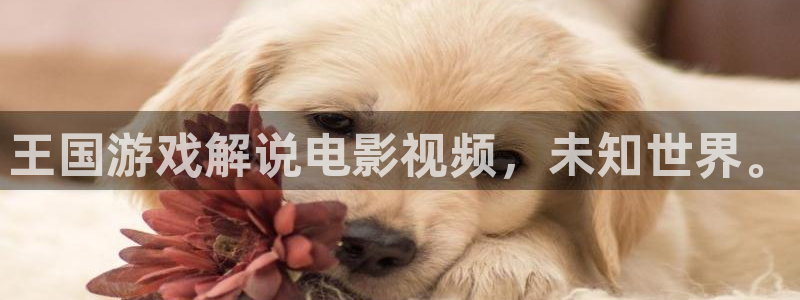 奇优影院在线看免费版