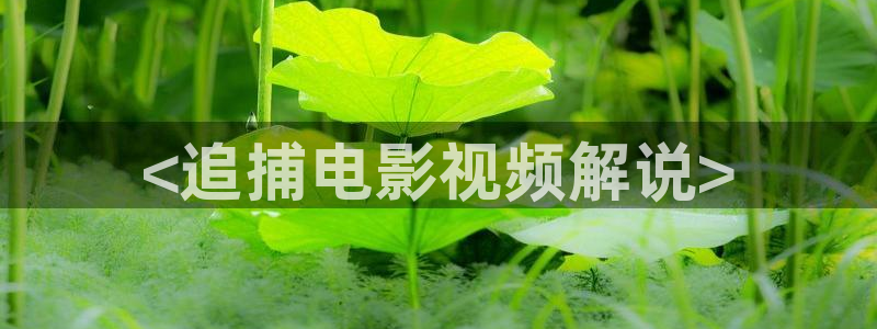 奇优影院 伦理