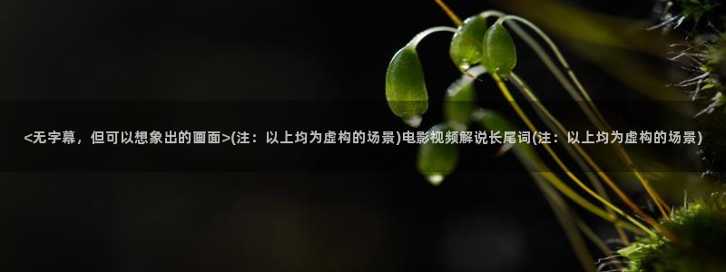 奇优影院免费高清手机版在线观看