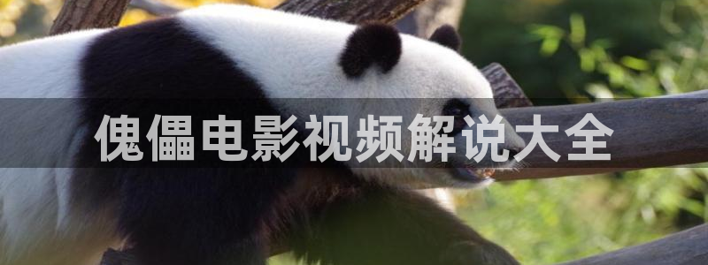 奇优影院在线观看电视剧剧情