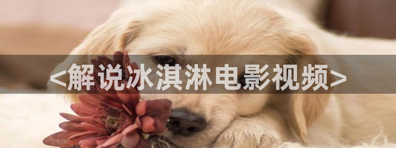 美景之屋3奇优影院