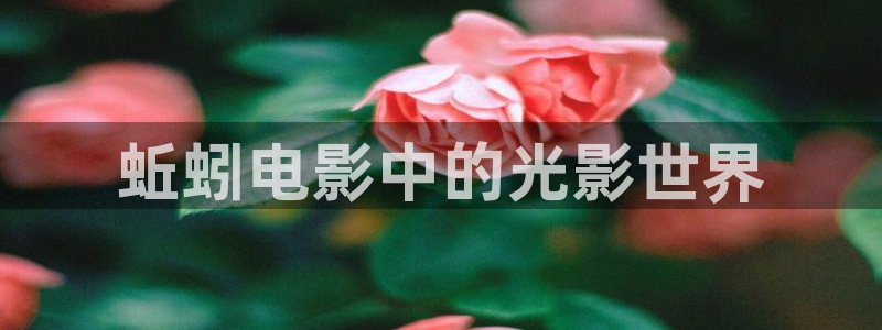 奇优影院官网入口