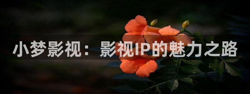 奇优影院免费看电视剧