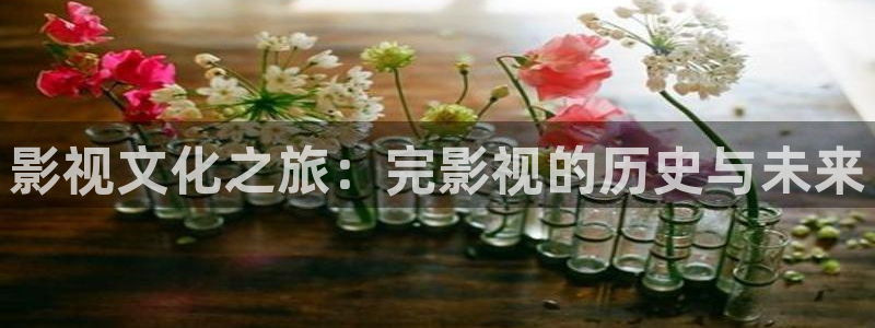 奇优影院年轻的母亲