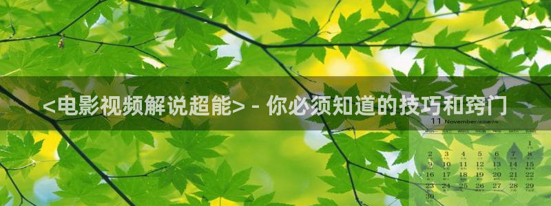 奇优影院热门电视剧有哪些