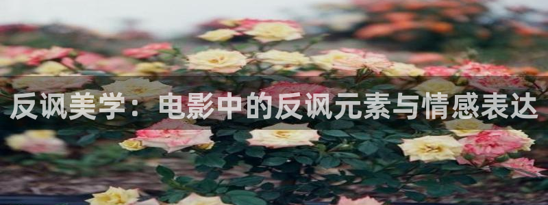 奇优影视app