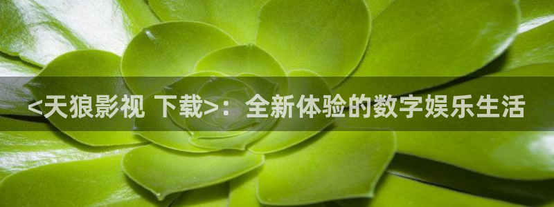 手机在线观看奇优影院