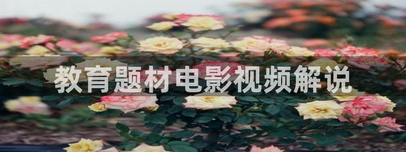 奇优影院手机版手机在线观看