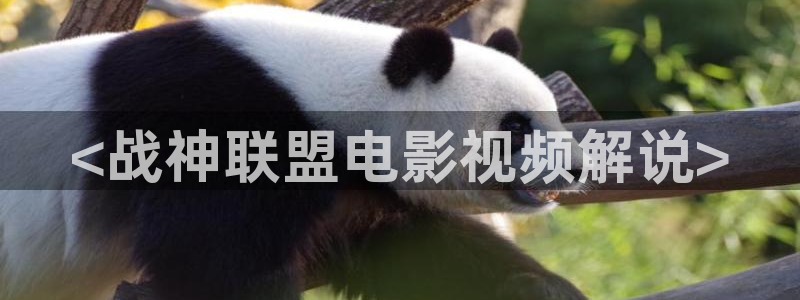 奇优影院电影在线观看